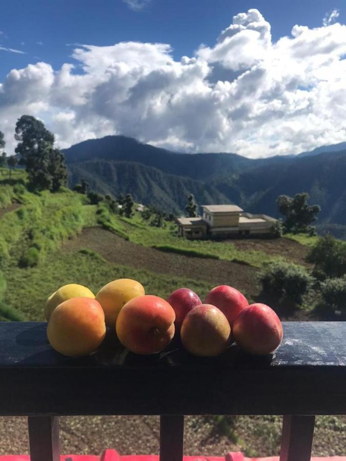 Green View Resort New Tehri Exterior foto
